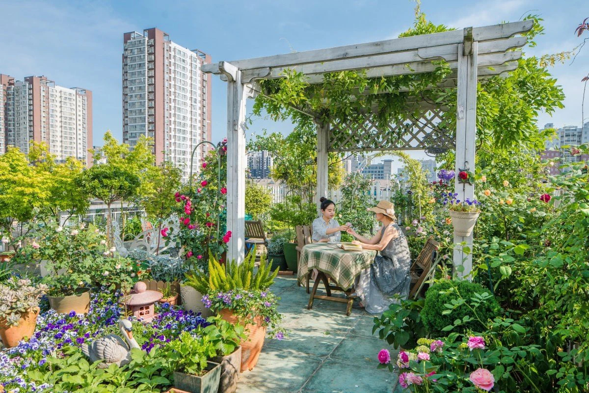 Biến Sân Thượng Thành Khu Vườn Xanh Mát – Những Lưu Ý Quan Trọng Để Bảo Vệ Ngôi Nhà