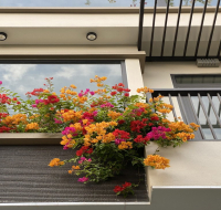 NHỮNG VẤN ĐỀ CẦN LƯU Ý KHI BỐ TRÍ KHÔNG GIAN KHU VỰC BAN CÔNG – ĐẶC BIỆT LÀ CHỐNG THẤM