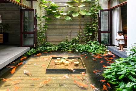 NHỮNG LƯU Ý KHI THIẾT KẾ BỂ CÁ KOI TRONG NHÀ